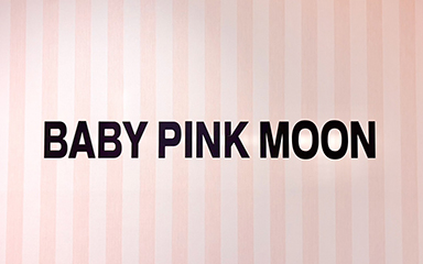 Baby Pink Moon